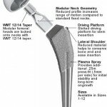 Photo from MicroPort