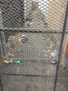 LeBlanc says this is a popular place for disposing of used needles, right outside DUAL.