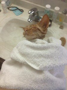 Photo courtesy of Eva Dudla