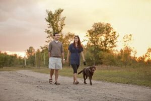 Dog related issues are among the most common animal related 311 calls in the city.